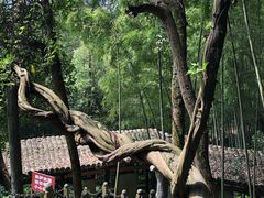 -严子陵钓台(富春江小三峡)