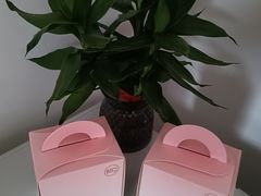 -85度C(生甜甜圈研究工坊·上海平凉店)