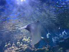 -华夏文旅海洋公园