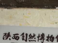 -陕西自然博物馆