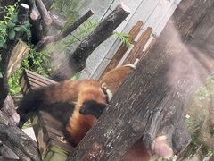 -石排湾郊野公园