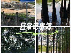 -三水森林公园