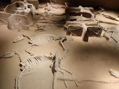 -洛阳周王城天子驾六博物馆