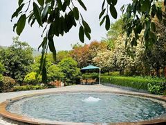 -腾冲洞山温泉村