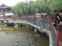 -大明幻境第一城
