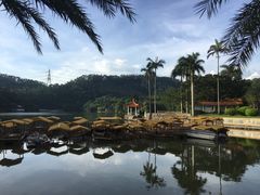 -深圳仙湖植物园-停车场