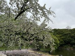 -东京国立博物馆