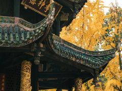 -青羊宫
