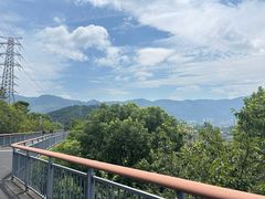 -金鸡山公园