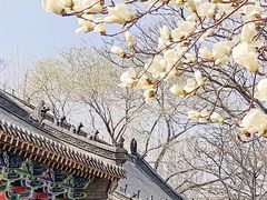 -护国法轮寺