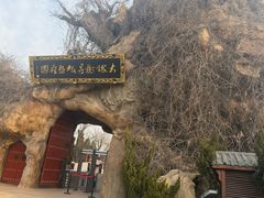 -大槐树寻根祭祖园
