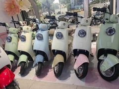 -绿源电动车(普陀专卖店)