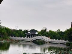 -映月湖公园