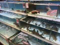 -盒马鲜生(红莲店)
