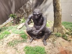 -北京周口店北京人遗址博物馆