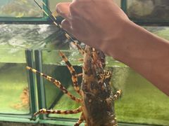 -班赞海鲜市场