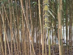 -西湖游船