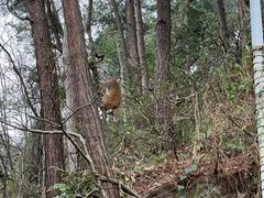 -黔灵山公园
