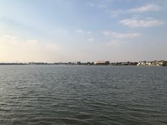 -鹅湖玫瑰文化园