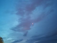 -人民防洪胜利纪念塔