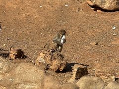 -石家庄市动物园