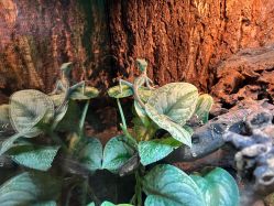 -酷嗒动物文化乐园(cutezoo西溪乐天城店)