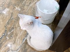 -春阳水饺(香槟广场店)