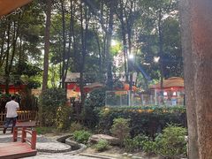 -二荆条·蜀鲜汇城市森林火锅