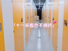-安东易迷你仓自助寄存仓库(淞虹路店)