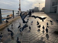 -符拉迪沃斯托克火车站