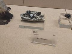 -广东省博物馆