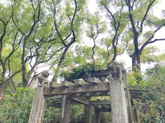 -天一阁博物院
