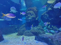 -暹罗海洋世界