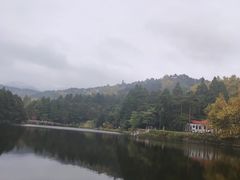 -庐山风景区花径公园