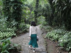 -莫里热带雨林景区