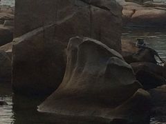 -东澳岛