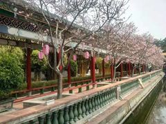 -广东紫坭糖厂(桥头路)