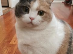 -美美宠物诊疗中心·异宠·骨科(滨江东信分院)
