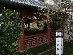 -普陀山祥生大酒店