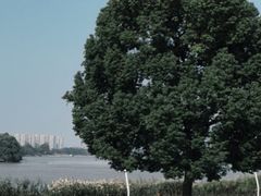 -南京眼步行桥