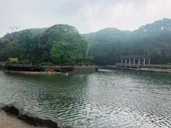 -广州市帽峰山景区