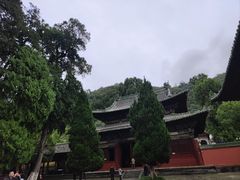 -报恩寺(平武县)