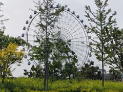 -琴岛之星摩天轮