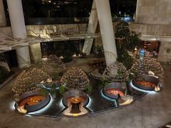 -味餐厅·海鲜·火锅·自助餐