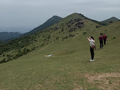 -大姆山草场