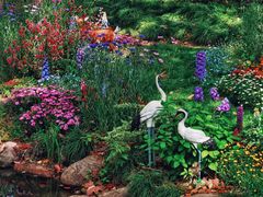 -上海共青森林公园