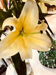 点击看大图 -永琪护肤造型