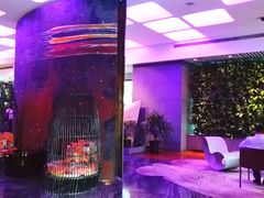 -上海外滩英迪格酒店