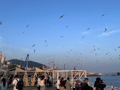 -星海广场