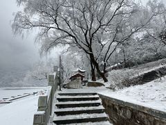 -秦岭终南山世界地质公园翠华山景区